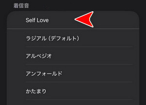 iTunes Storeの着信音をiPhoneアラーム音に設定する手順2